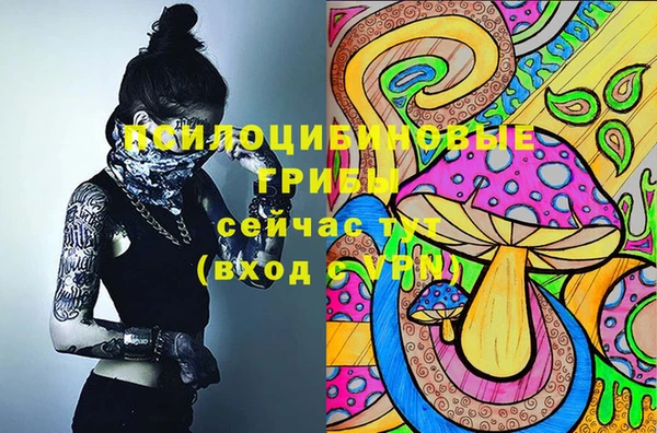 2c-b Абдулино