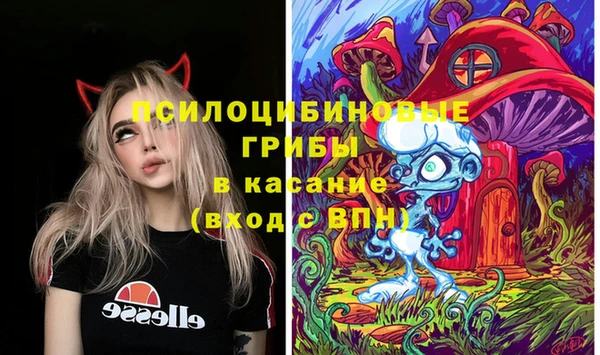 2c-b Абдулино