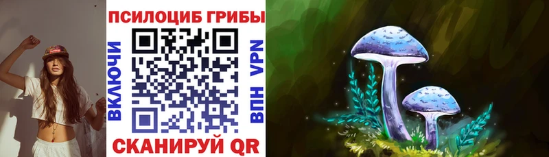 Галлюциногенные грибы Psilocybe  наркота  Красноармейск 